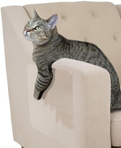 Scratch guard (multi-pack)