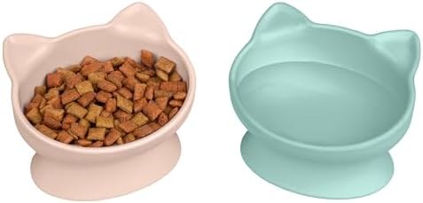 Pink & teal cat ears (6.5 oz)