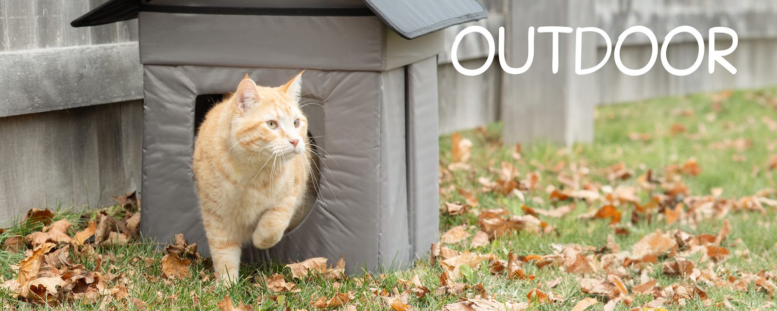 Backyard Catio