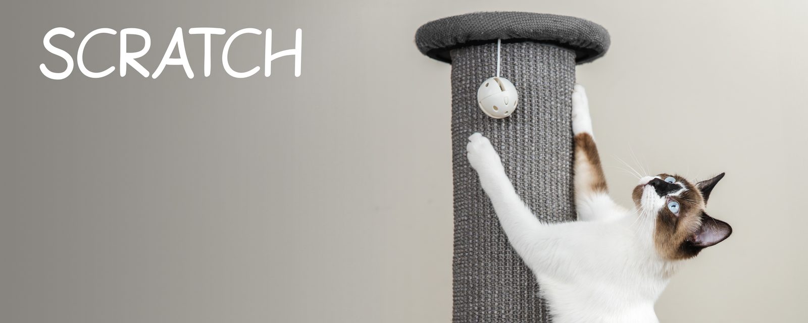 Cat stretching on a Kitty City sisal post