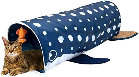 Whale shark tunnel
