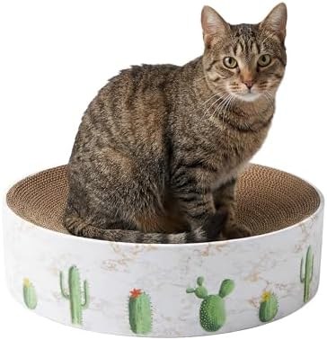 Cacti (round bed)