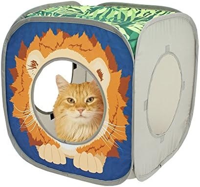 Lion cube (single)