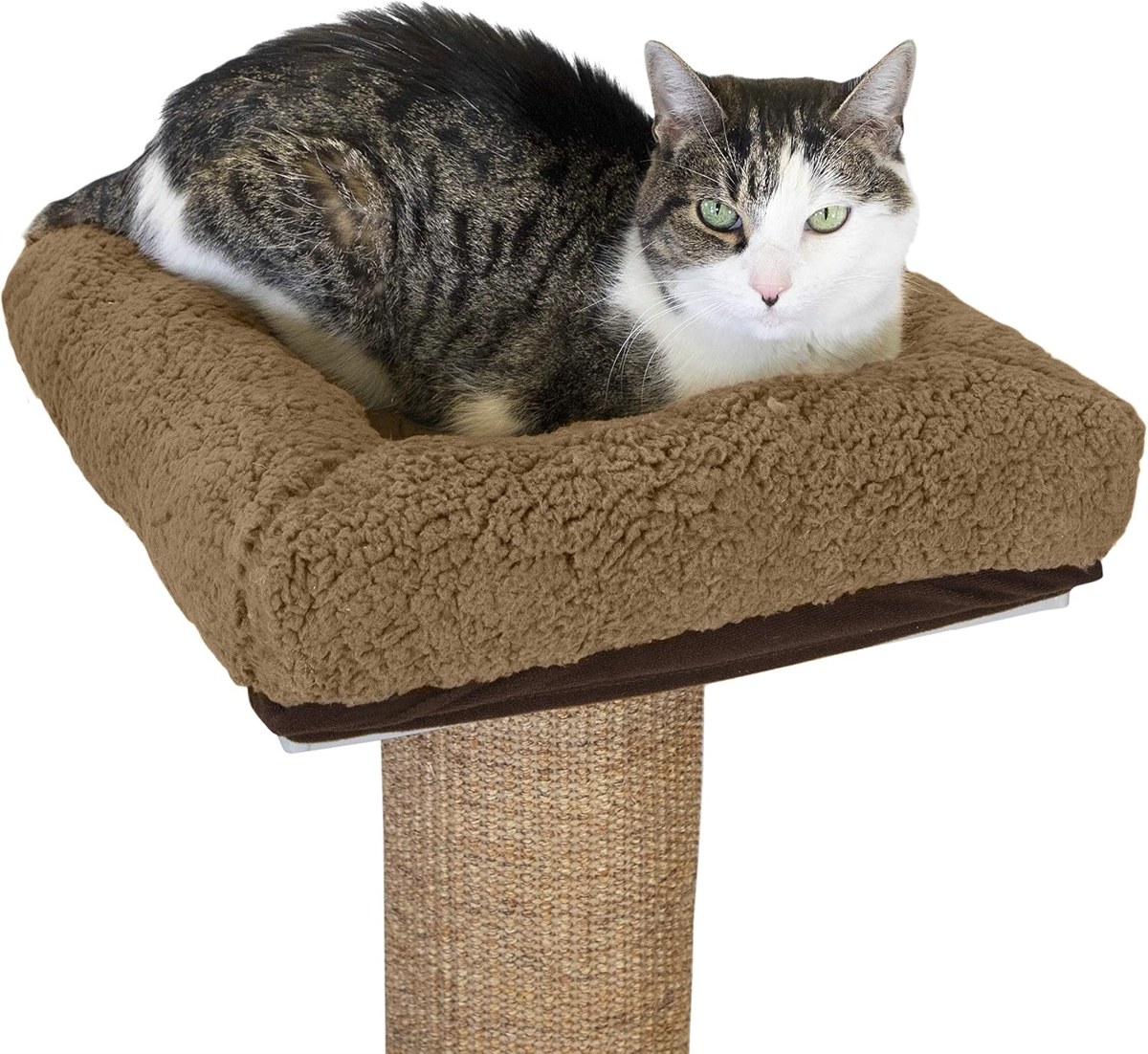 Kitty City Perch Platform for the Sisal Post